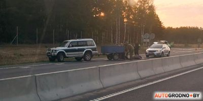 Рано утром на трассе М6 сбили лося