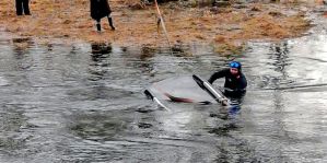 Под Лидой водолазы вытягивали из реки Renault Duster. Водитель не справилась с управлением и поехала в воду