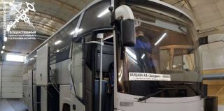 Какое наказание получил водитель, который перевозил контрабандных питонов в автобусе