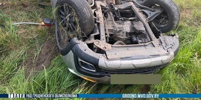 За три дня – 6 ДТП с участием животных: не только лоси и косули, но и барсуки. Вчера под Гродно в кювет вылетел таксист