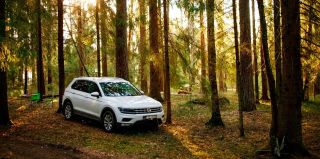 Ограничения на посещение лесов введены почти во всех районах Беларуси