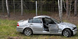 На трассе М6 молодой парень на BMW сбил косулю. Водитель жив, животное пало