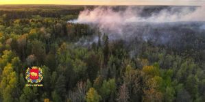 Лесной пожар под Вороново тушили более 120 человек. На помощь были вызваны вертолеты МЧС
