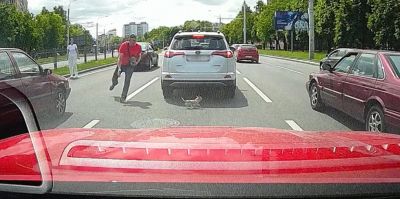 Как в Минске собаку на проспекте ловили. Видео