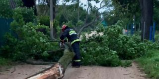 В области бушевал грозовой фронт: последствия на фото ремонтных бригад