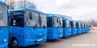 Сразу 14 новых автобусов МАЗ 257040 пополнили автопарк ОАО "Гроднооблавтотранс"