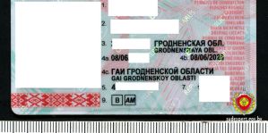 В Волковыске водитель пришел в ГАИ заменить фальшивые права