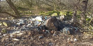 С наступлением весны всплыла проблема мусора. В том числе – в Гродно и районе