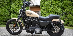 На права училась вместе с сыном! Людмила из Гродно решилась на покупку Harley-Davidson Sportster