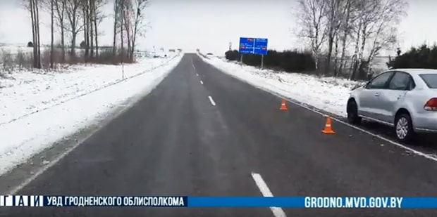 Лось бросился под колеса VW на трассе: животное сбежало, водитель не пострадал, автомобиль получил механические повреждения