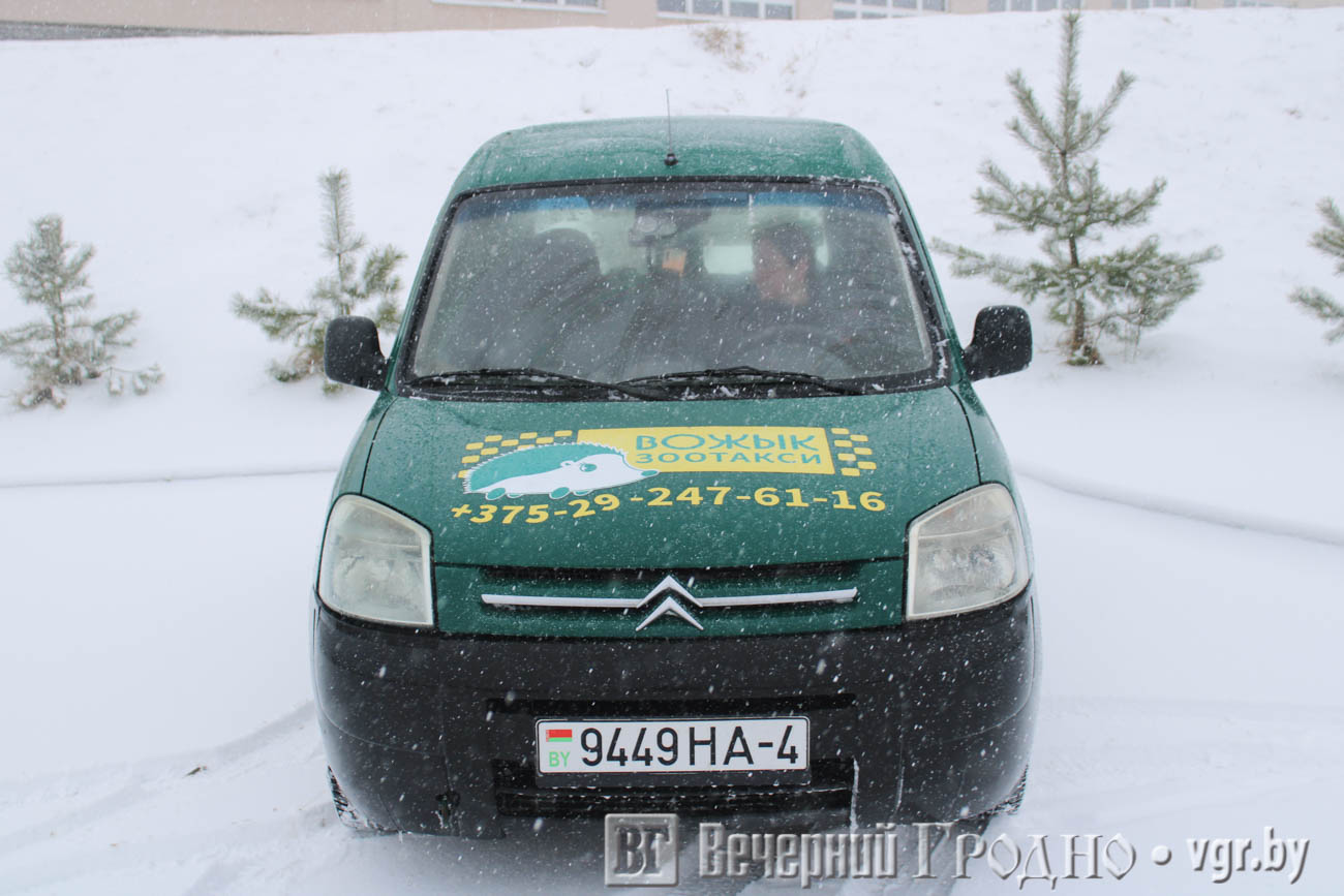 vozhyk taxi 01 min
