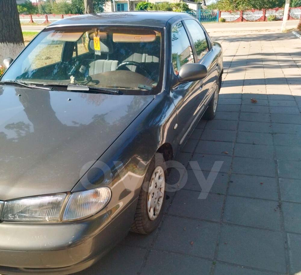 auto iphone 15