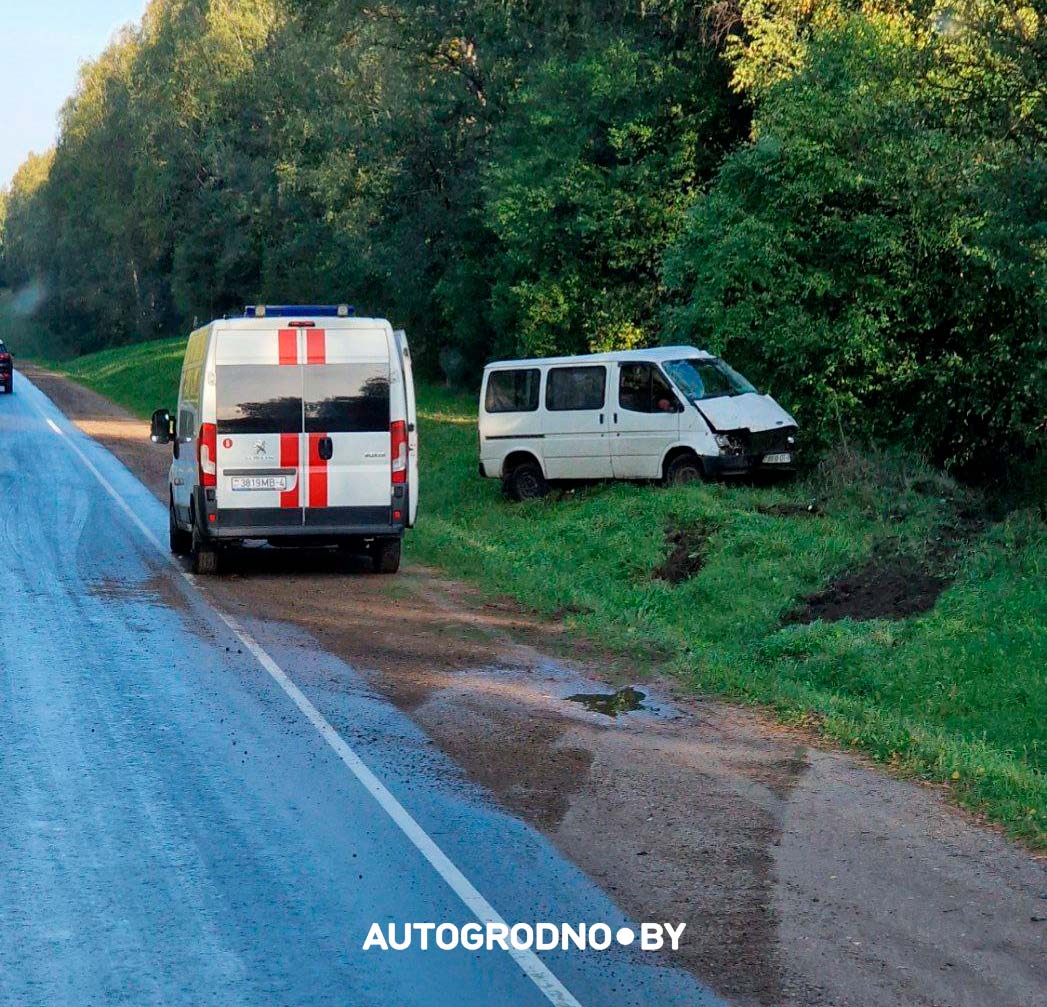 ford derevo 05