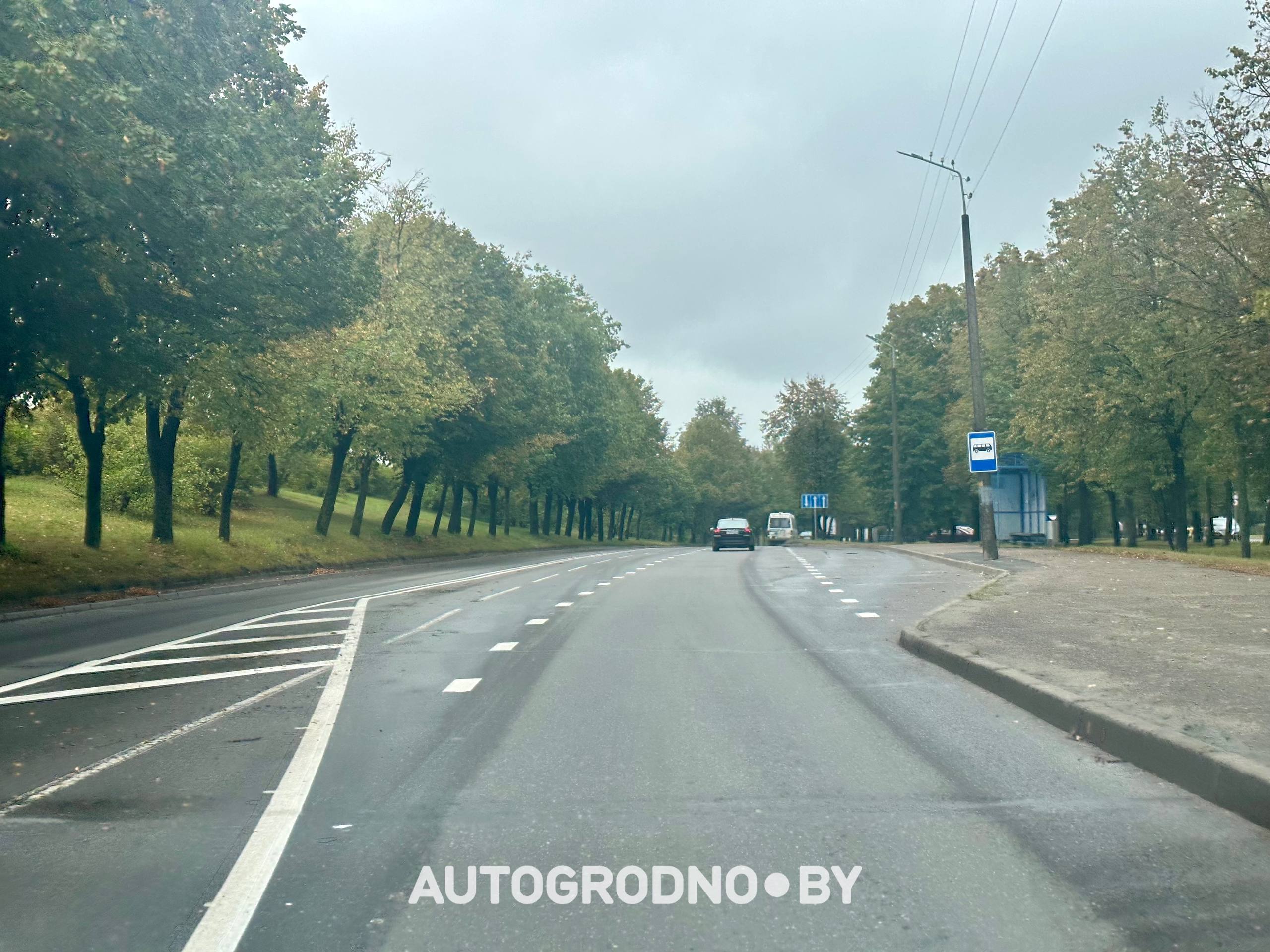 dombr razmetka 17
