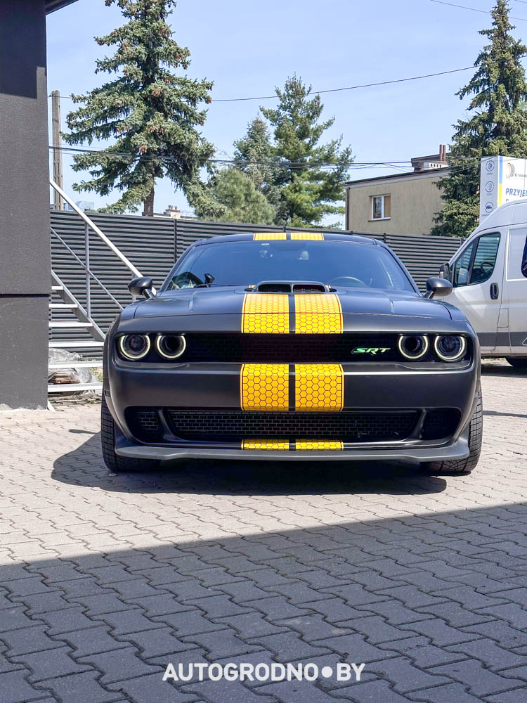 ИЗ США переехал в Беларусь