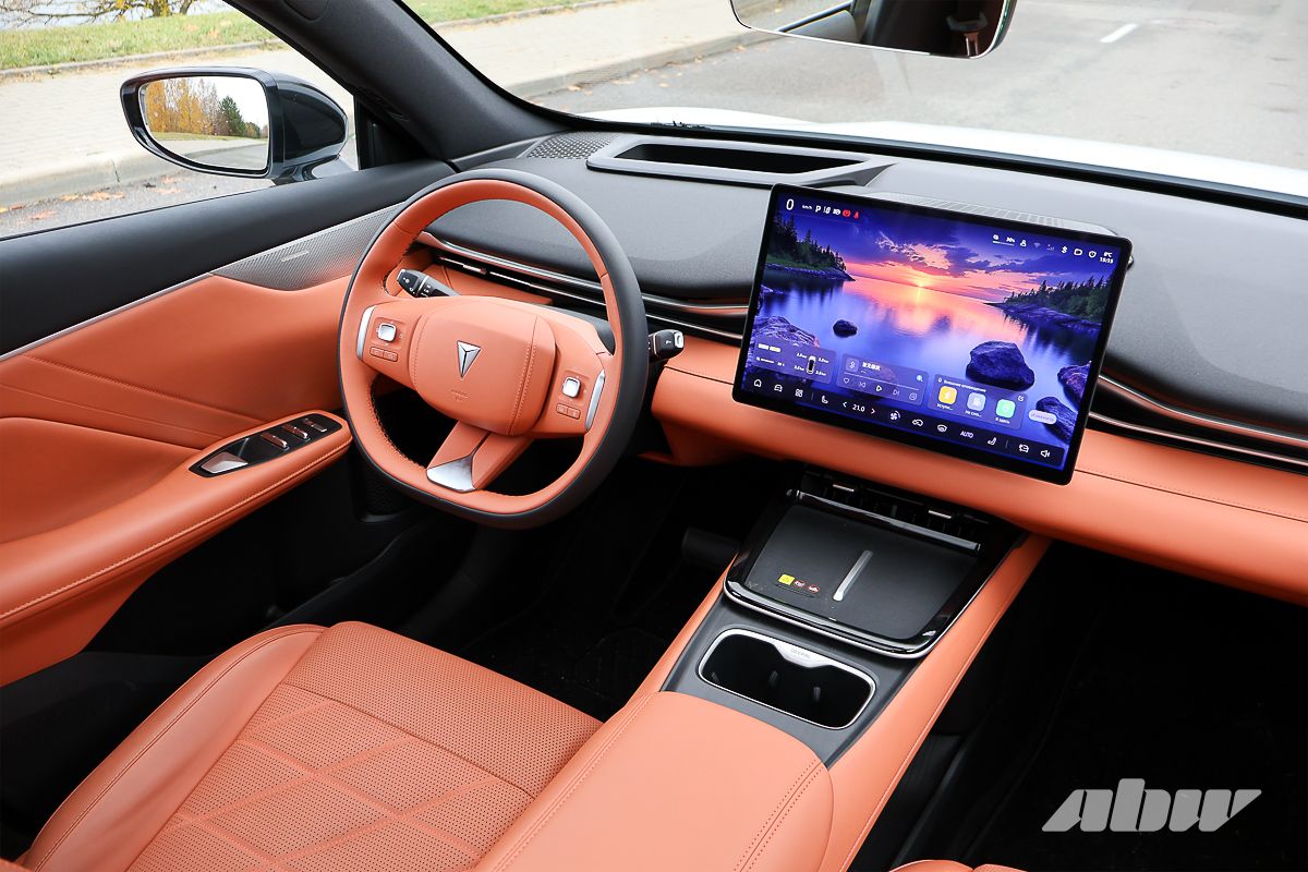 knopka avarijki kitajtsy 01