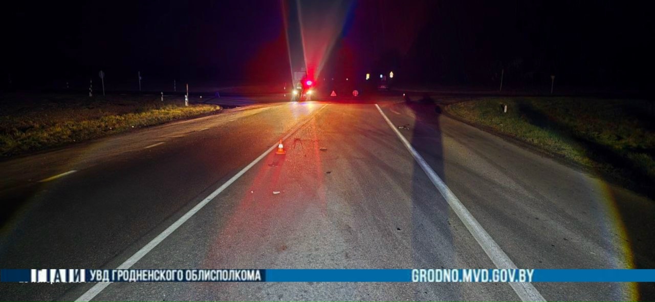 peshehod djalovo 28 11 bmw 01