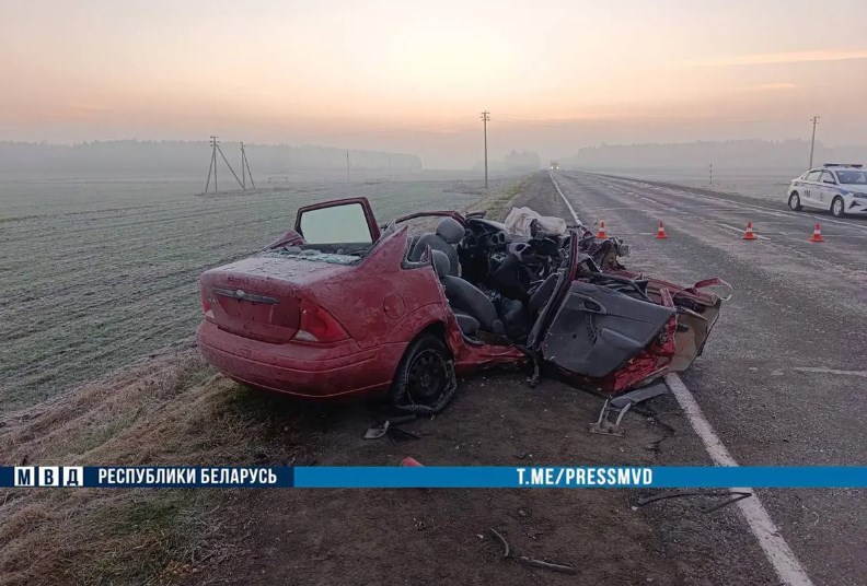 pinsk ford 2 passazhira 02