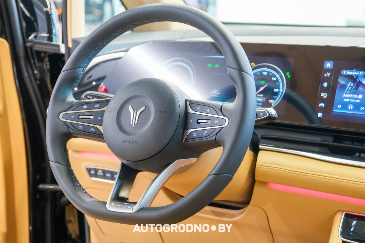 Voyah Dream цена обзор Беларусь Гродно