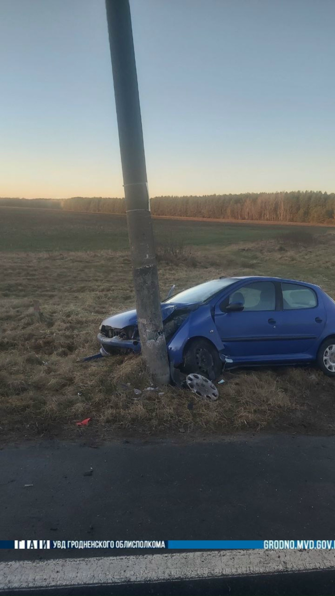 peugeot lida podrostok 01