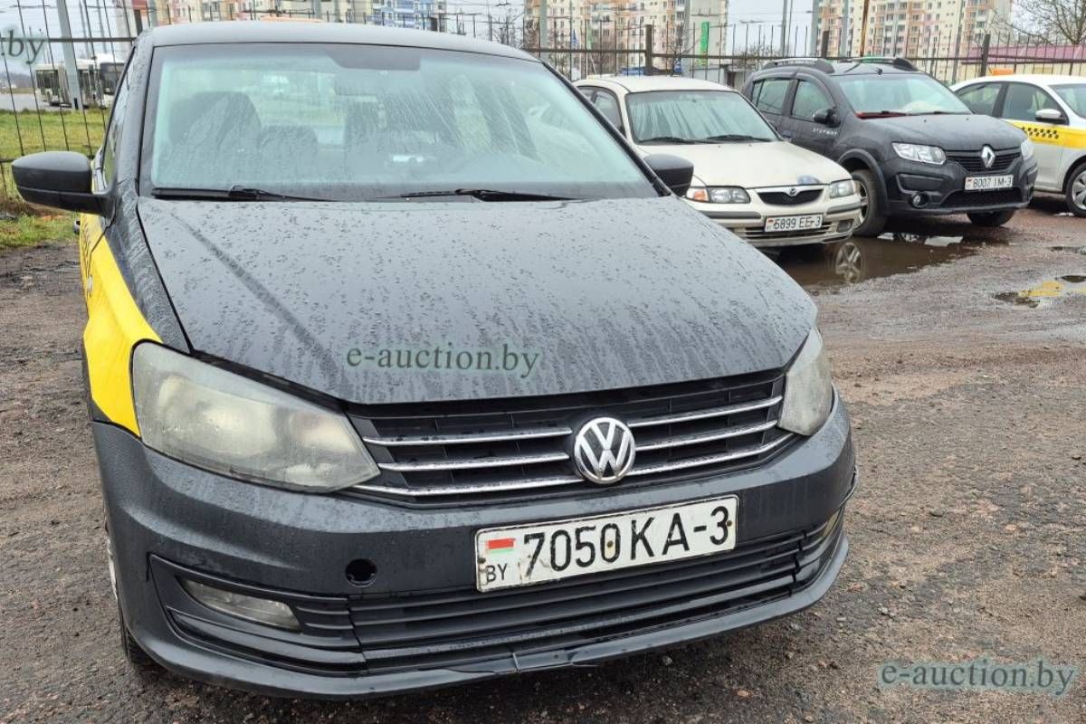 maxim razgon torgi 01