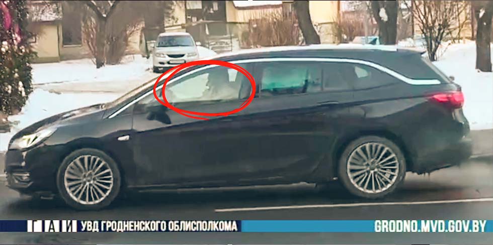 В Гродно скрытые камеры снимают водителей с телефонами. Что потом делают с видео?