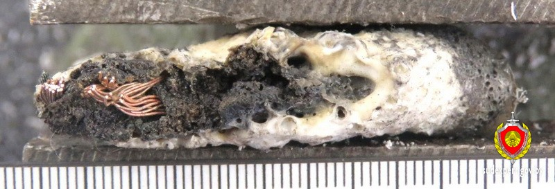 vebasto minsk man 01