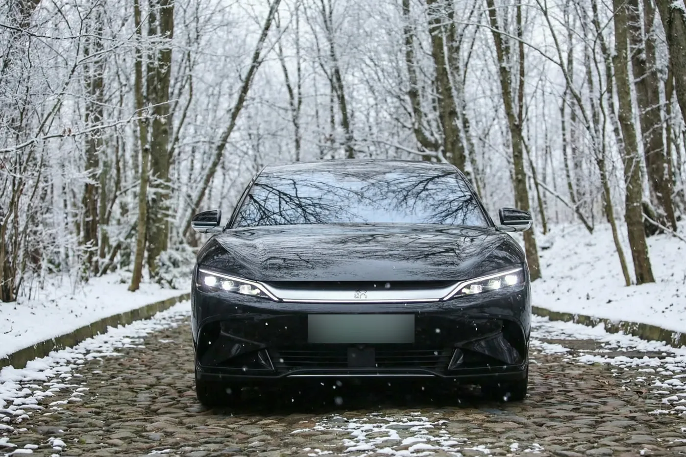 elektro zima chigir 01