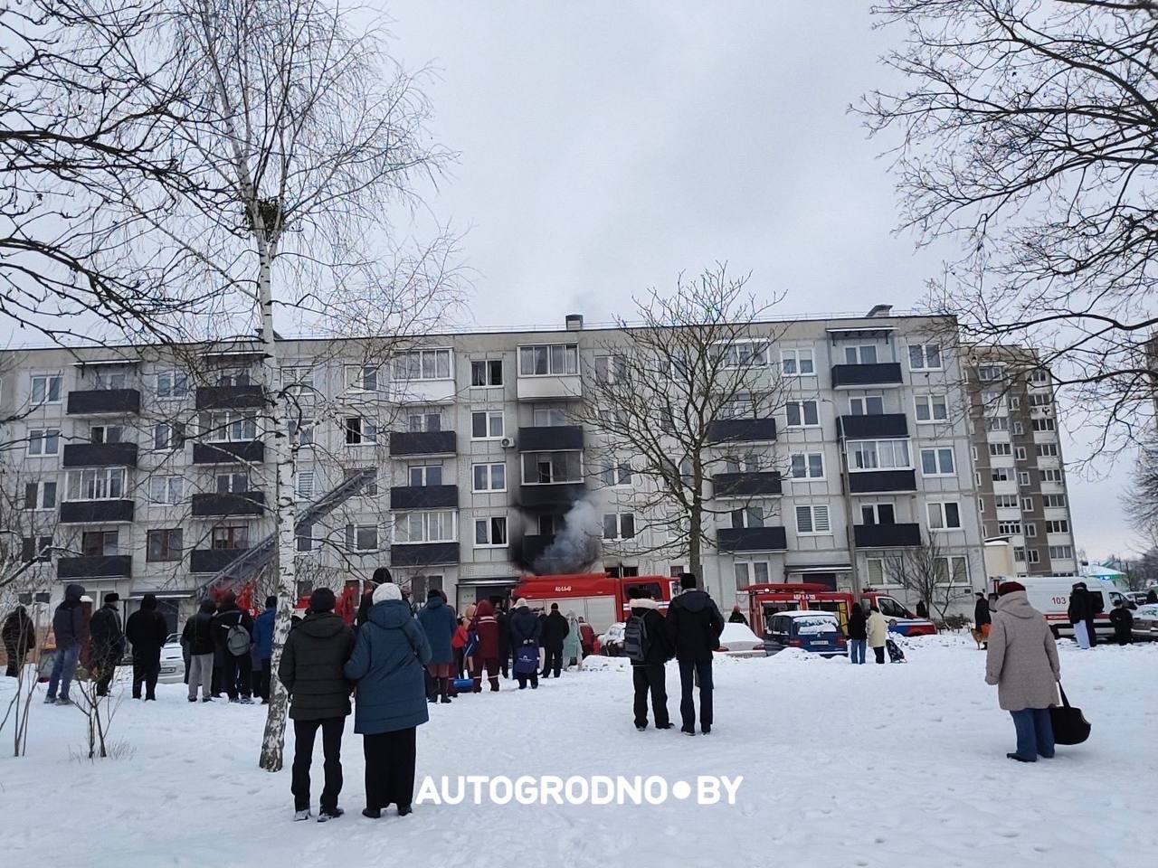 folush pozhar 07 02 01