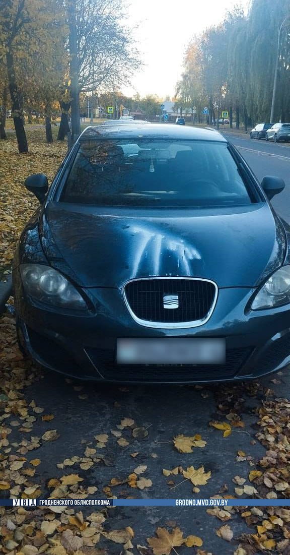 stroitelej klej reshenie 01