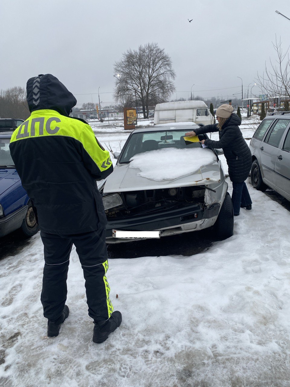 zhjoltaja metka brest 01