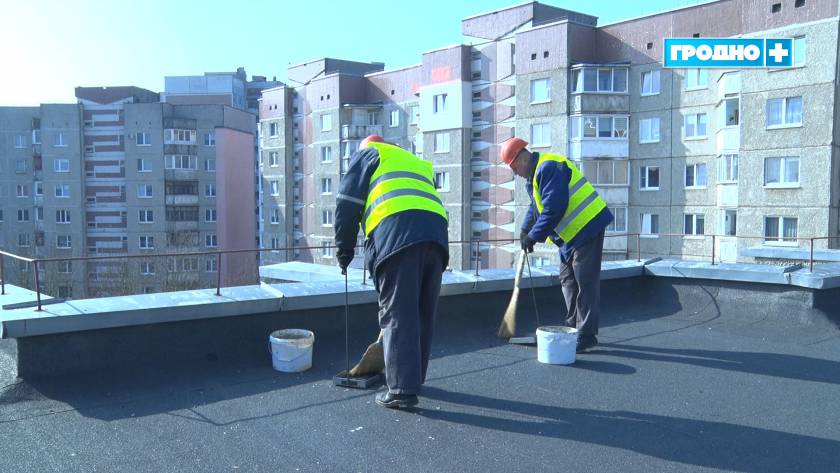 chajki kommun 20 03 01