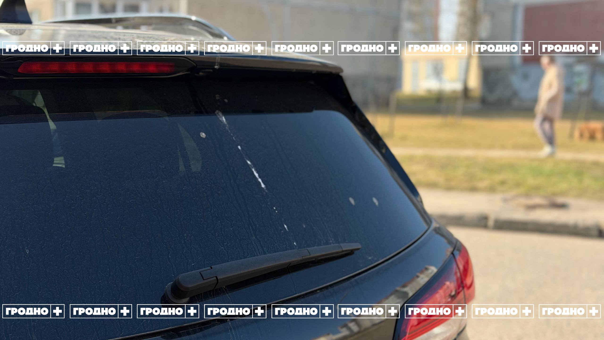 chajki kommun 20 03 02