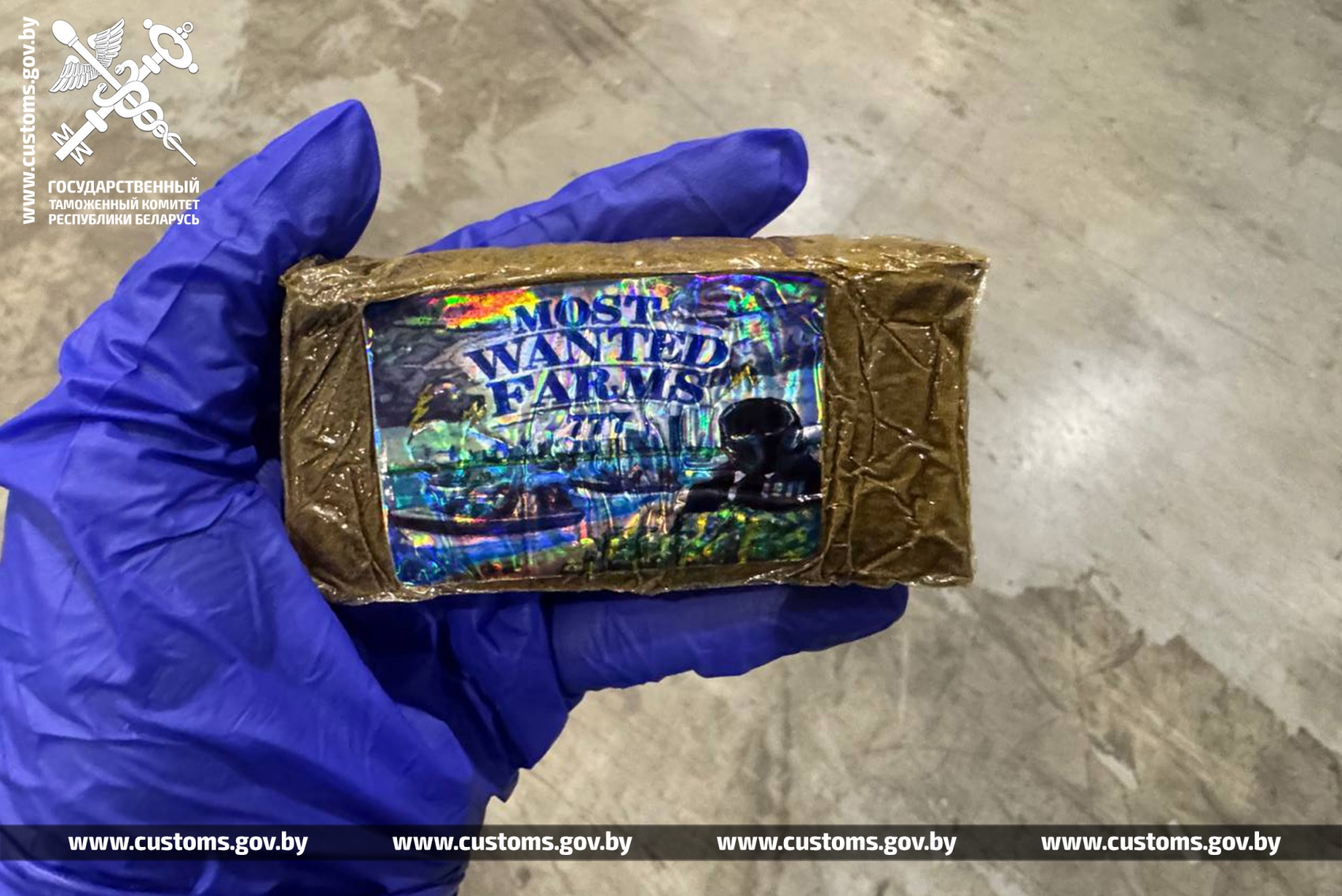 gashish polsha rossia 10