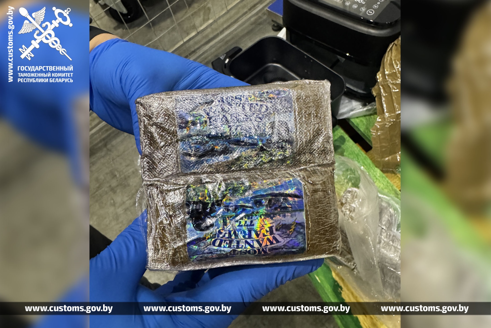 gashish polsha rossia 10