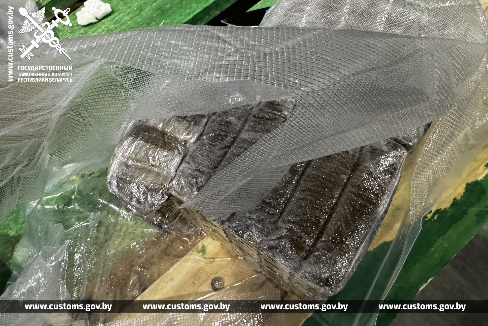 gashish polsha rossia 10