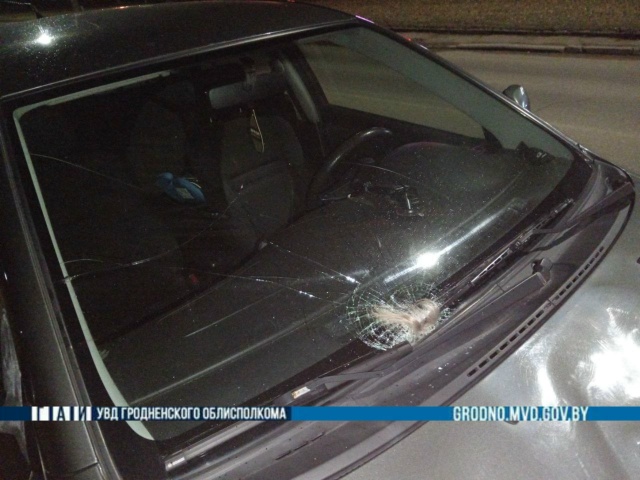 lida peshehod 20 03 002