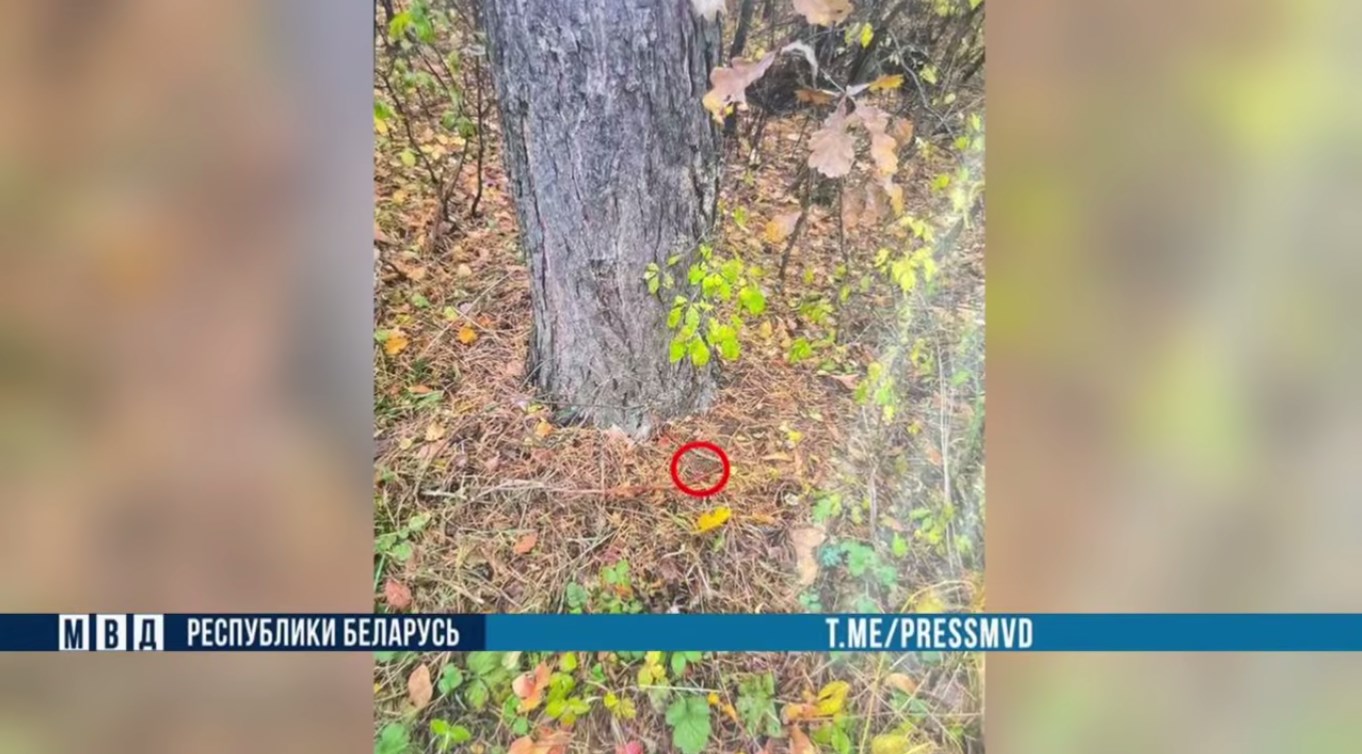 narkotiki 10 2025 moto 02