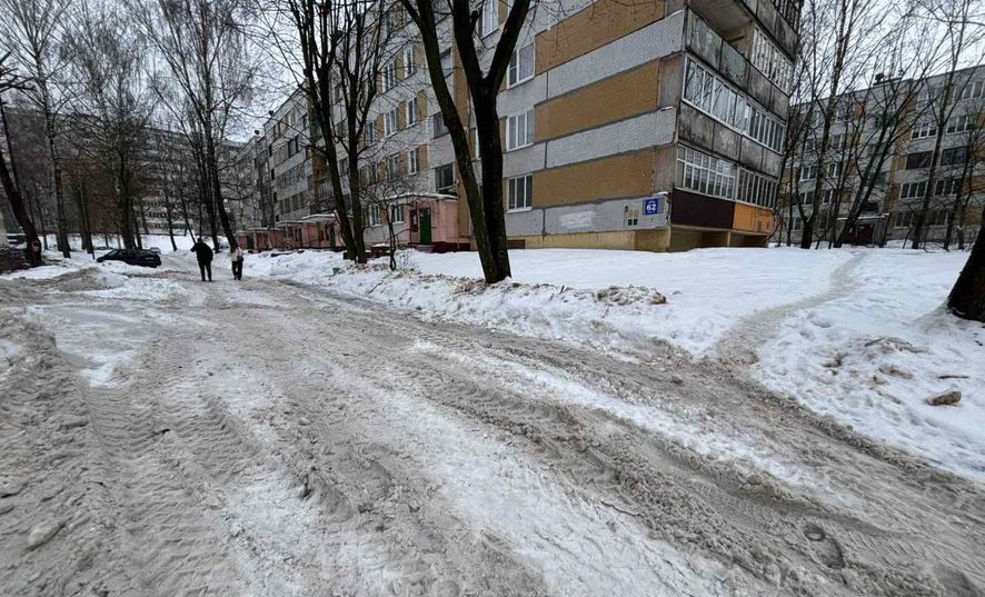 sneg prokuratura mogiljov 01