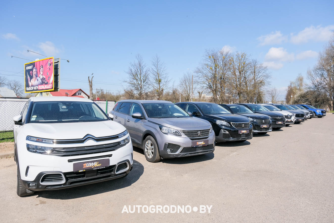 автокомис Олимп в Гродно