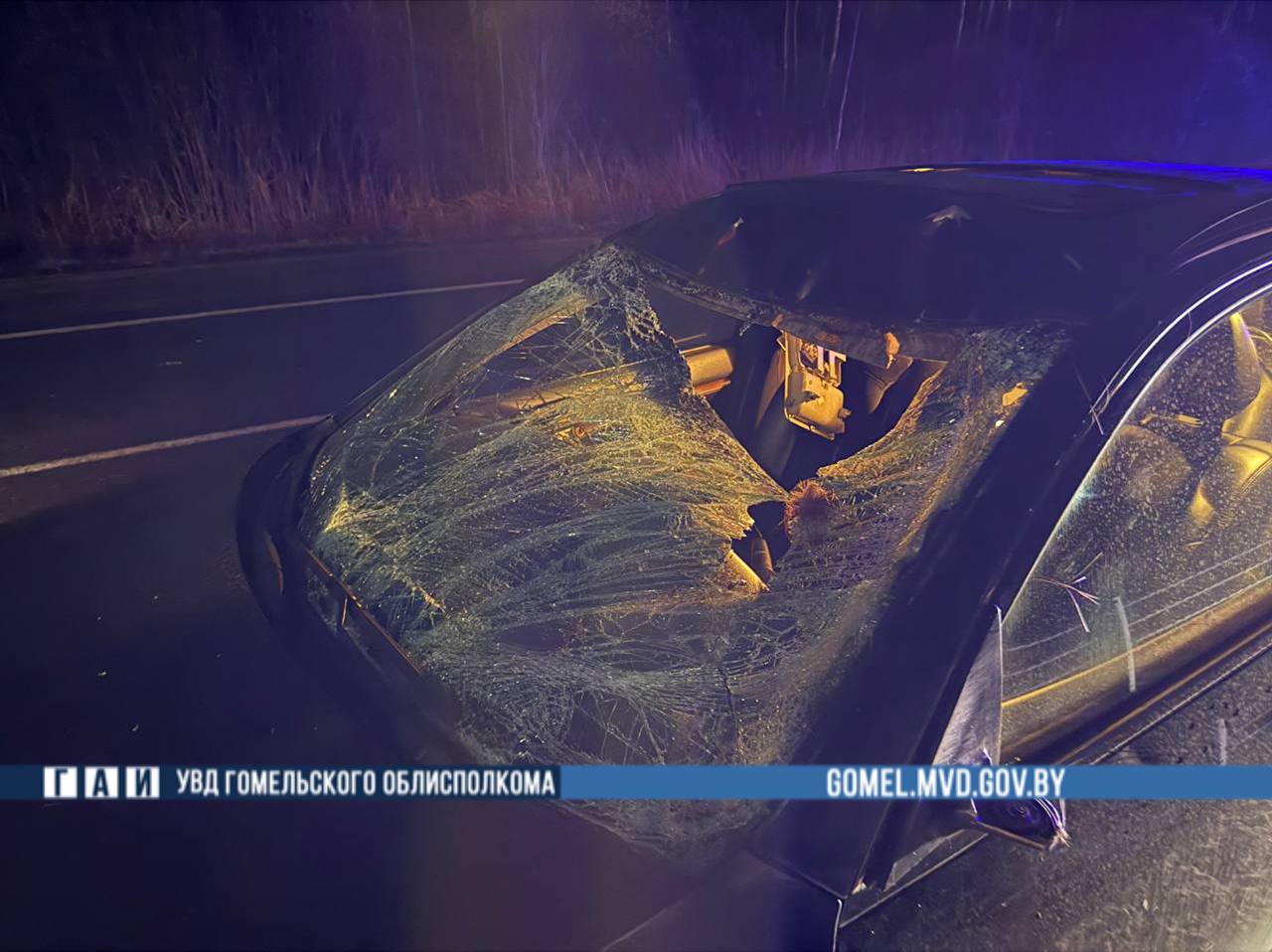 los kaban gomel 03 26 01