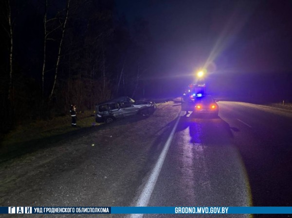 zelva zhivotnoe 08 04 26 01