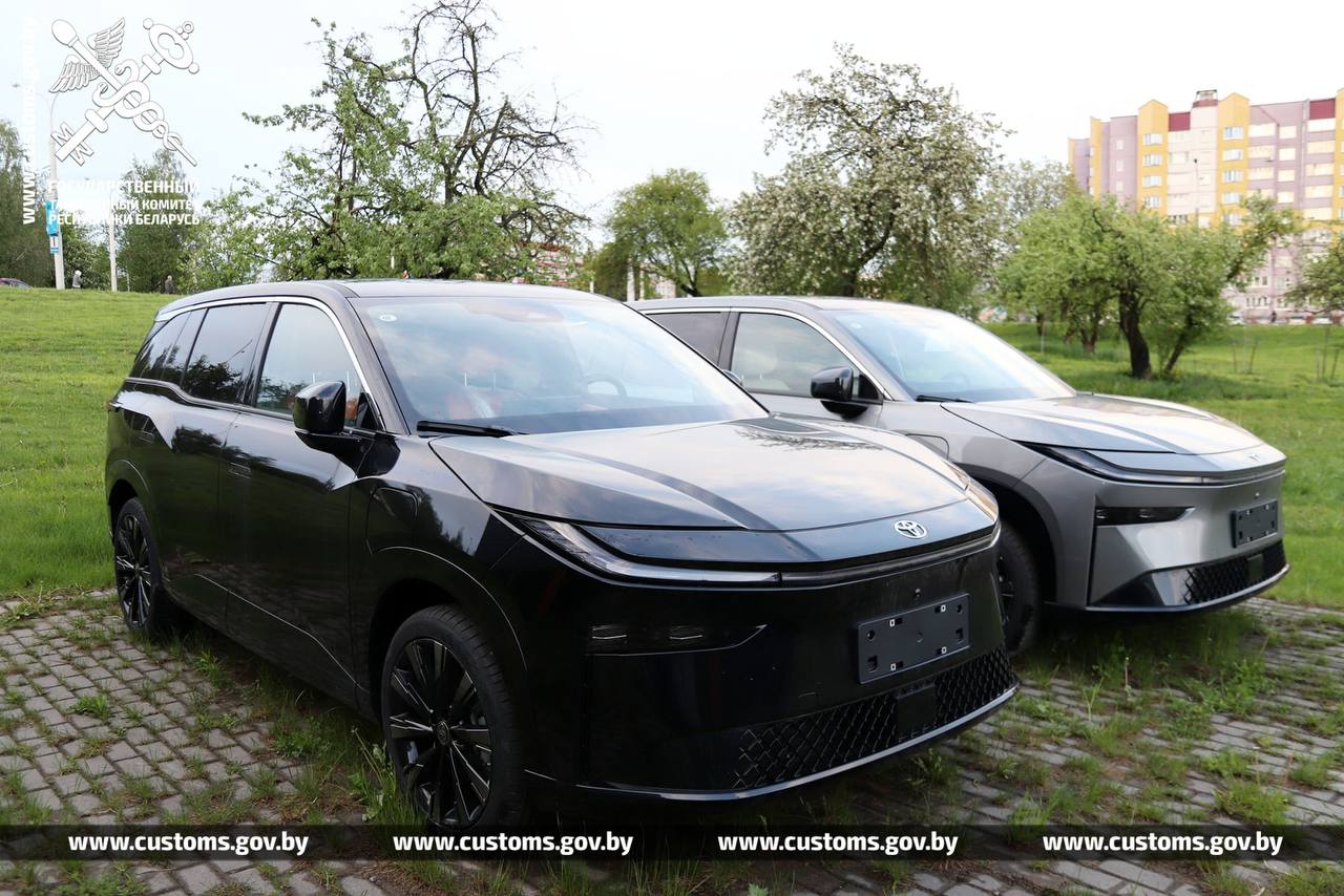 elektro chema 10 mln tamozhnja 01