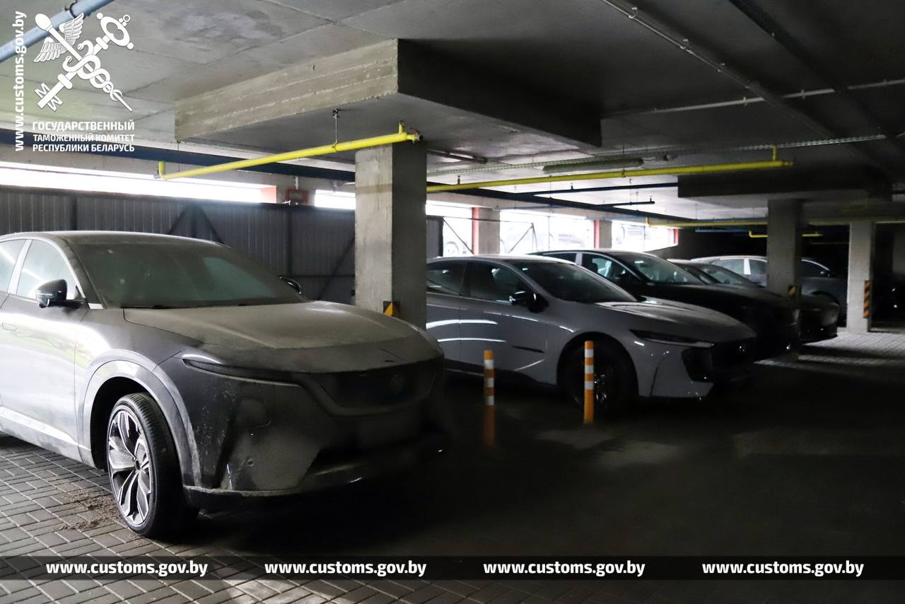 elektro chema 10 mln tamozhnja 01