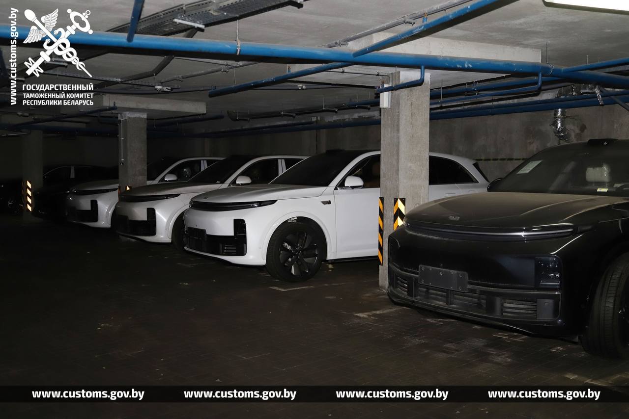 elektro chema 10 mln tamozhnja 01