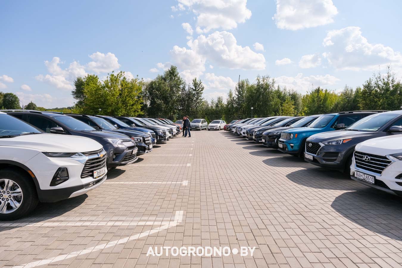 Площадка для продажи автомобилей в Гродно - Арена