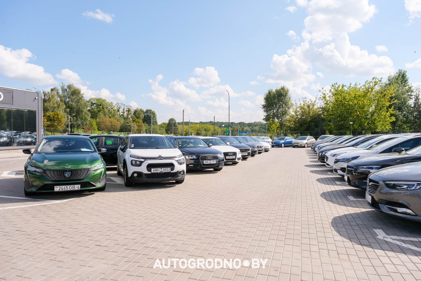 Площадка для продажи автомобилей в Гродно - Арена