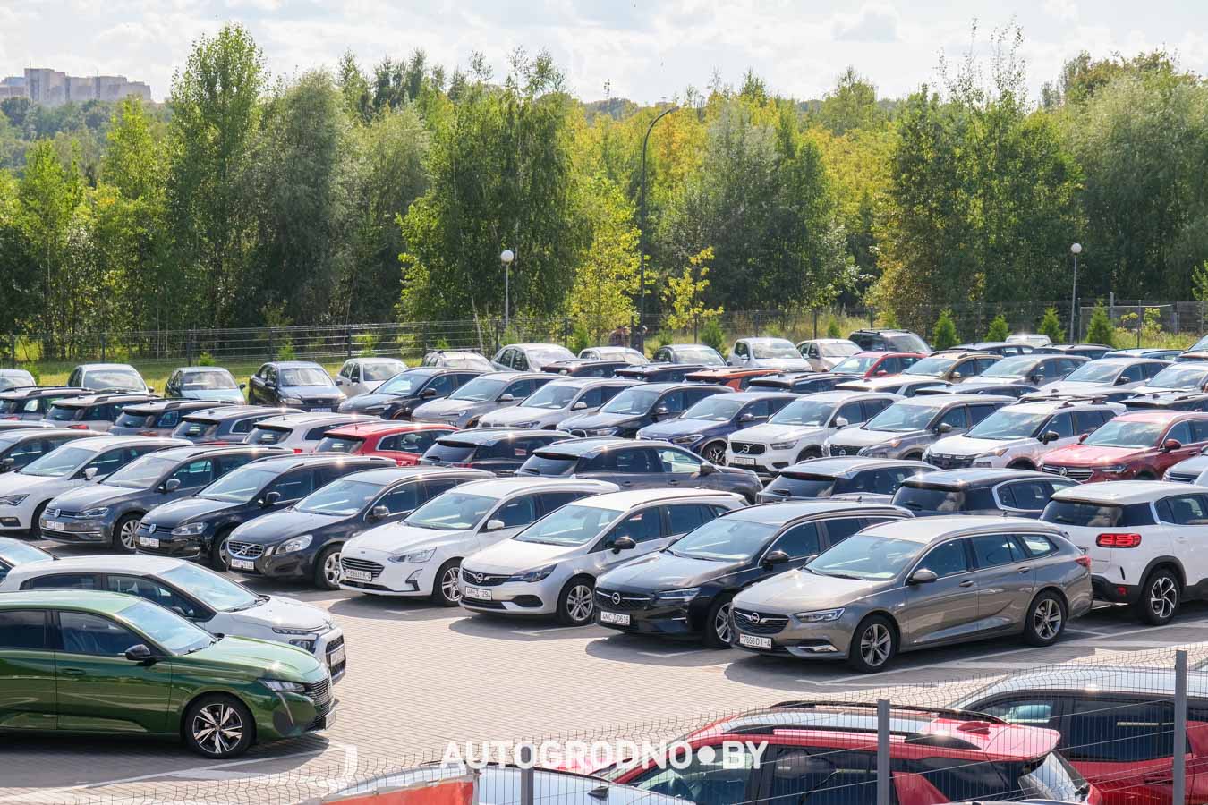 Площадка для продажи автомобилей в Гродно - Арена