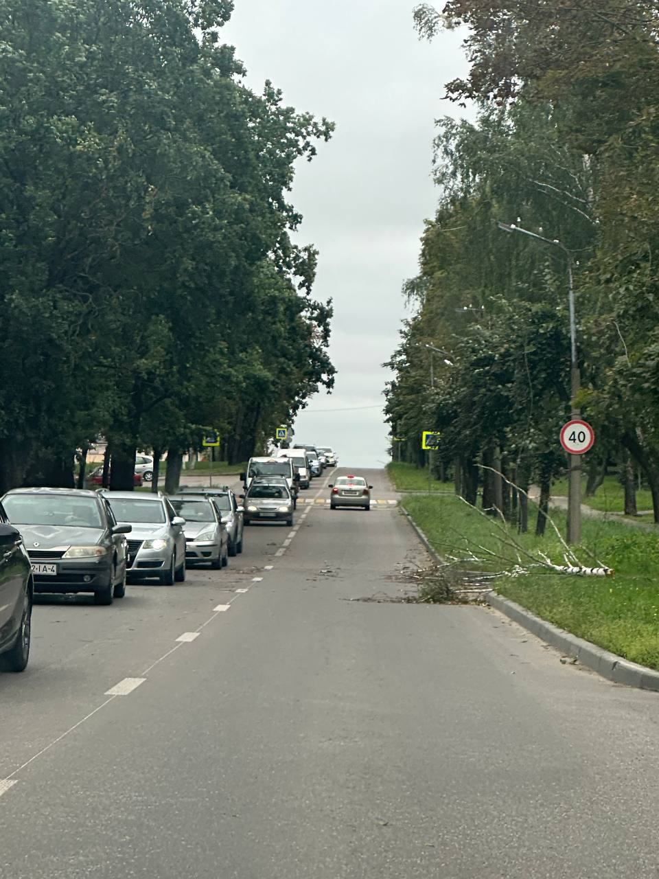 tavlaya kolco