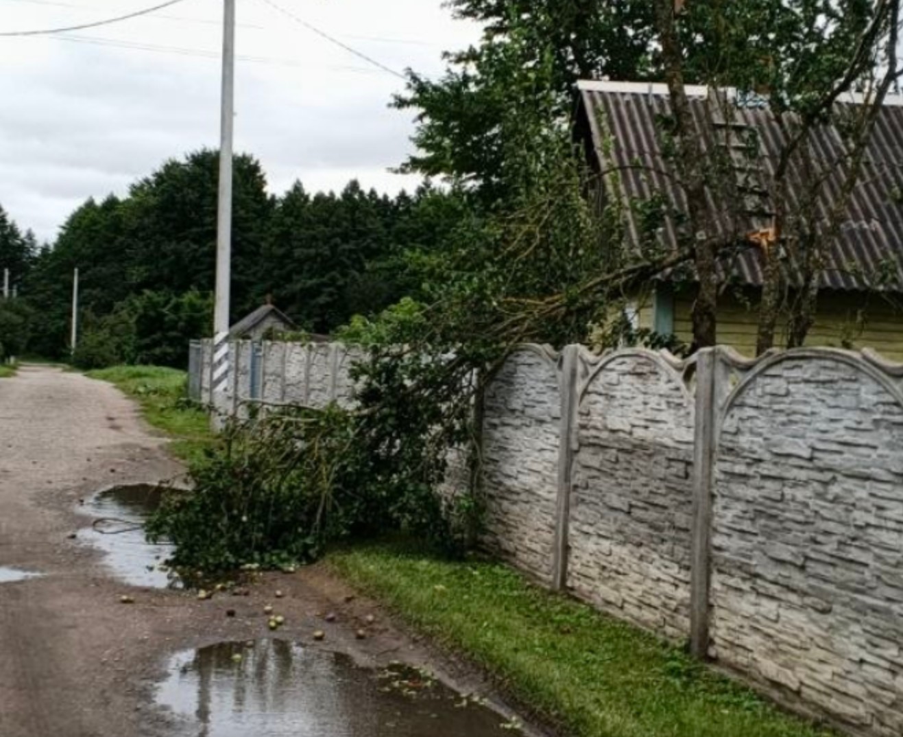 uborka 08